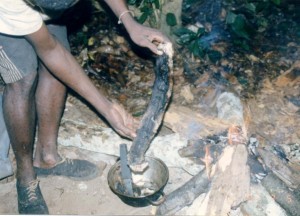 叩いたのちヘビの肉を火にあぶる作業©西原智昭
